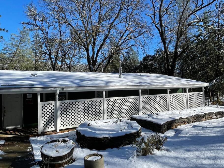 Green Cabin In Midpines Exterior photo